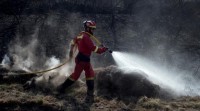 Máis de nove mil hectáreas arrasadas nunha ducia de incendios en Ourense
