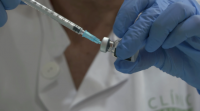 Comezan os ensaios en humanos da vacina española contra o coronavirus