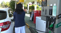 A OCU recomenda consultar as gasolineiras máis baratas á hora de planificar unha viaxe