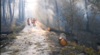 Activos os incendios de Toledo e Madrid con máis de 3.300 hectáreas arrasadas