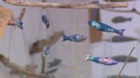 Remata o Festival Mar de Mares, que deixou unha visión multidisciplinar sobre os océanos
