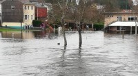 As precipitacións das últimas horas fan rebordar o río Parga en Guitiriz