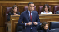 Sánchez asegura que co diálogo con Cataluña tratará de solucionar un problema que "crearon outros"