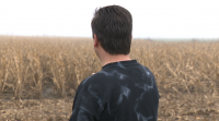 O tempo seco dálles unha tregua aos agricultores da Limia
