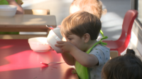 Unha escola infantil da Coruña, pioneira en introducir produtos ecolóxicos no comedor
