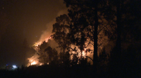 Un raio provoca un incendio forestal en Salvaterra que leva calcinadas 200 hectáreas