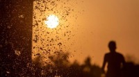 A calor mantén nove comunidades en alerta, con Canarias en nivel vermello