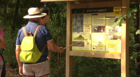 O Parque Arqueolóxico de campo Lameiro, inicia a temporada de visitas a pleno rendemento