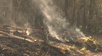 Incendio de Salvaterra: "Apagaban dun lado e viña do outro"