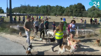 A protectora Aloia de Tui pasea uns cen cans os domingos grazas á colaboración cidadá