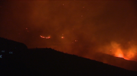 Un incendio queima unhas 300 hectáreas en Gran Canaria