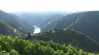 Informe favorable da UNESCO para que a Ribeira Sacra sexa Reserva da Bioesfera