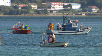 Mariscadoras de San Telmo, Raxó e Lourizán retoman o traballo ao remitir a toxina