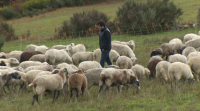 Gandeiros galegos aposta pola produción ecolóxica para combater as emisións de dióxido de carbono