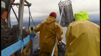O motor, o téxtil e a pesca respiran aliviados tras o acordo do 'brexit'