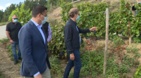 Feijóo asegura que as cifras do sector vitivinícola galego demostran que "o rural ten futuro"