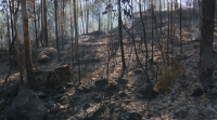 Estabilizado o incendio de Porto do Son que ameazou varias aldeas