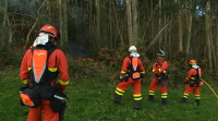 O forte vento complica a extinción dos 40 incendios aínda activos en Austurias