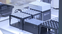 Empresas nacionais din que exportan tests PCR porque o Goberno non llelos compra