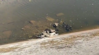 Vedan a pesca no encoro de Vilagudín tras a aparición de ducias de gaivotas mortas
