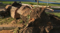 Moaña recupérase do susto tras os danos materiais por mor do tornado