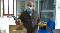 A banco xenético do CSIC conserva 100 tipos de millo galego autóctono