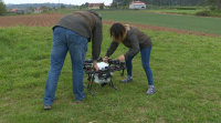 Experimentan co uso de drons para fertilizar os campos de patacas
