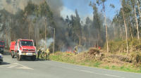 Moitas hipóteses envolven o primeiro incendio intencionado en Galicia no que vai de ano