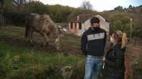 Diminúen as aldeas abandonadas en Ourense no último ano