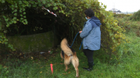 Cae un can nun pozo abandonado e aberto en Vilanova de Arousa