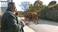 Castromil, de a cabalo entre Galicia e Castela e León, un barrio confinado e outro non