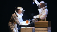 'O mel non caduca', a última montaxe de Ibuprofeno Teatro