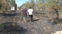 Máis de 10.000 hectáreas queimadas nos incendios de Tarragona, Madrid, Toledo e Ávila