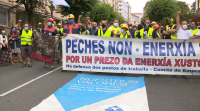Os traballadores de Alcoa levan as súas protestas ao Parlamento
