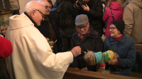 Os animais reciben, para estar protexidos, a bendición do santo Antón en Lugo