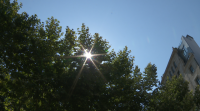 O sur de Ourense alcanzará os 37 graos, nunha xornada con quince comunidades en alerta por calor