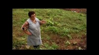 'Señora de...'