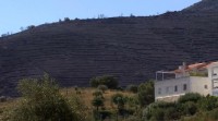Controlado o incendio do Cap de Creus, o máis grande de Cataluña este ano