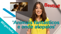 'Animais fantásticos e onde atopalos', unha peli bestial! #DígochoEu
