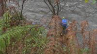 Os mergulladores retoman a busca do home que caeu ao río Tambre
