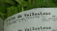 Unha cooperativa de Val de Xestoso vende 300 quilos de grelos semanais en Madrid