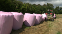 Unha Cooperativa do Deza plastifica rolos de herba solidarios co cancro de mama e próstata