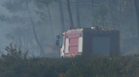 Dous incendios forestais afectaron Castromil e Madarnás, en Ourense
