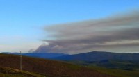 Extinguido o incendio forestal da Mezquita que afectou 161 hectáreas