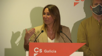 Pino recoñece os malos resultados, pero asegura que Ciudadanos o vai seguir intentando