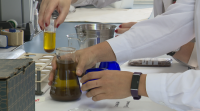 Investigadores da Misión Biolóxica de Galicia elaboran aceite de sementes de uva, rico en propiedades