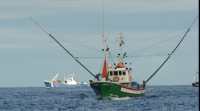 Sen acordo co Reino Unido para pactar a pesca en augas conxuntas