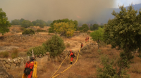 Agardan estabilizar o incendio de Ávila tras arrasar máis de 12.000 hectáreas