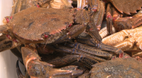 As prazas de abastos galegas prepáranse para as vendas do Nadal