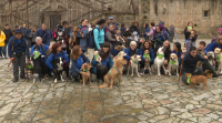 A Asociación PontePatas visibiliza a adopción de cans percorrendo o Camiño de Santiago